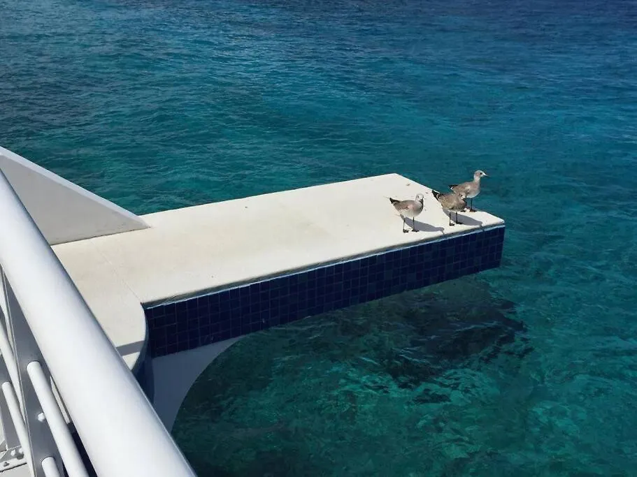 Inspiring And Relaxing Sea View Condo Cozumel Apartment